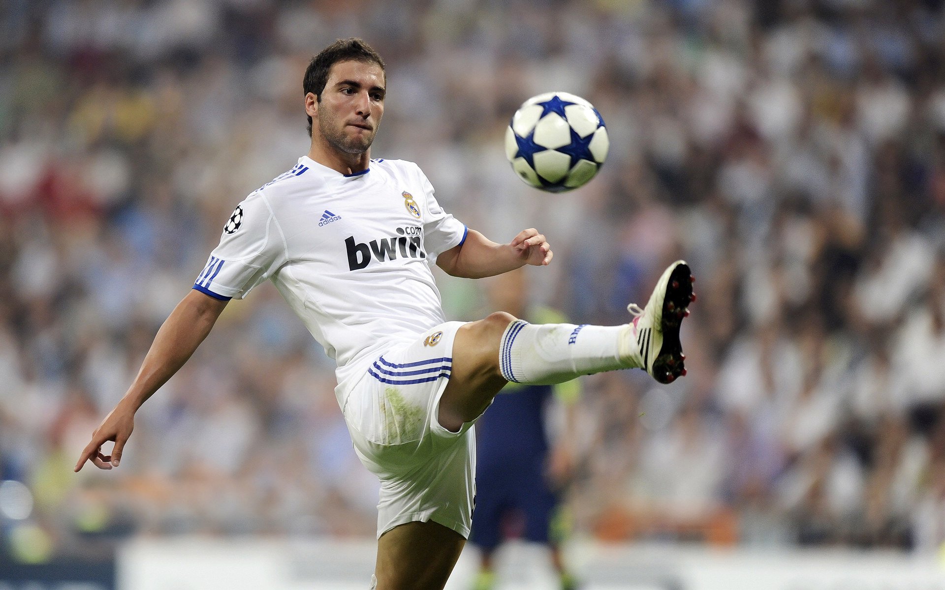 世界杯中国队夺冠 球员拼劲获一致认可，世界杯中国夺冠得多少奖金