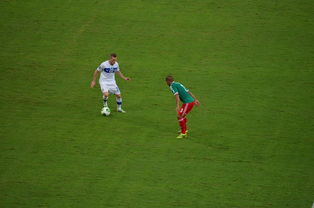 乐鱼体育 vip注册-中国足球对抗频次与伤病风险相关性，足球 对抗