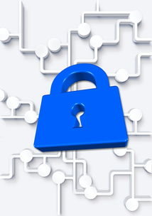 乐鱼官网-高校体育社团管理数字化平台构建方案，全国性体育社团